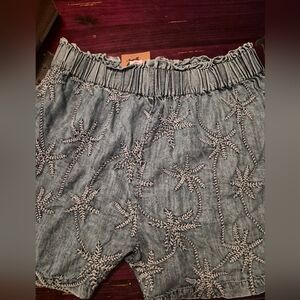 Ivy Jane Boutique Shorts